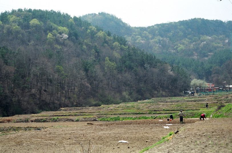 farmers