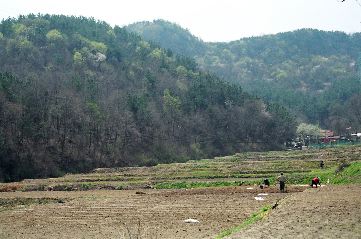 farmers